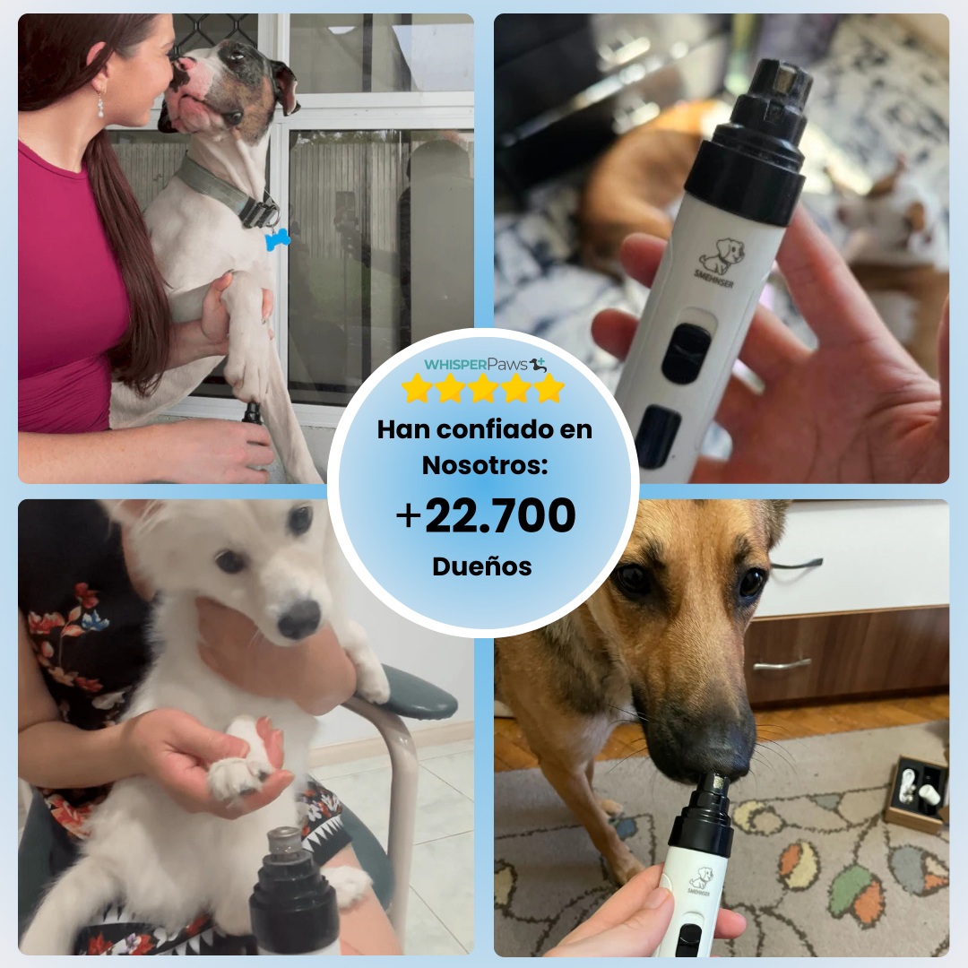 WhisperPaws™ Recortador Profesional en Casa